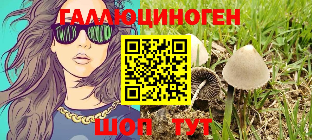 Псилоцибиновые грибы мицелий  Галлюциногенные грибы GOLDEN TEACHER  Вход с VPN  Северск 